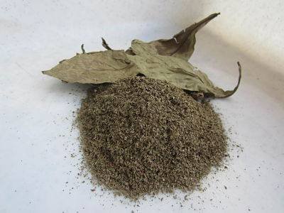 Buy Psychotria viridis leaves Canada