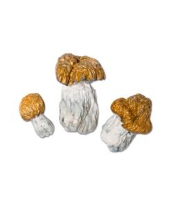 Avalanche Magic Mushroom