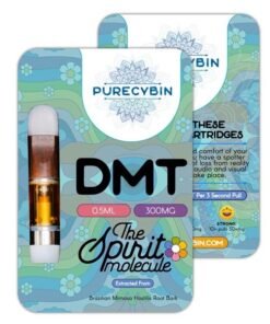 DMT 1ml Purecybin – 700mg DMT